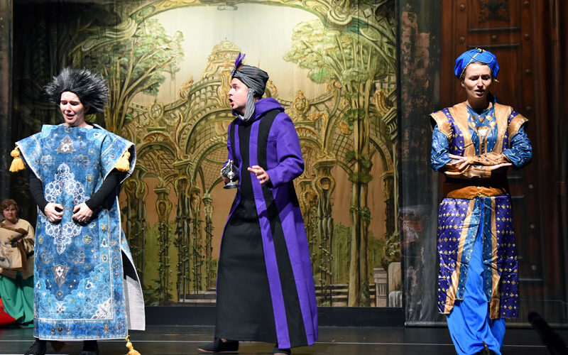 va bild e1776931331431